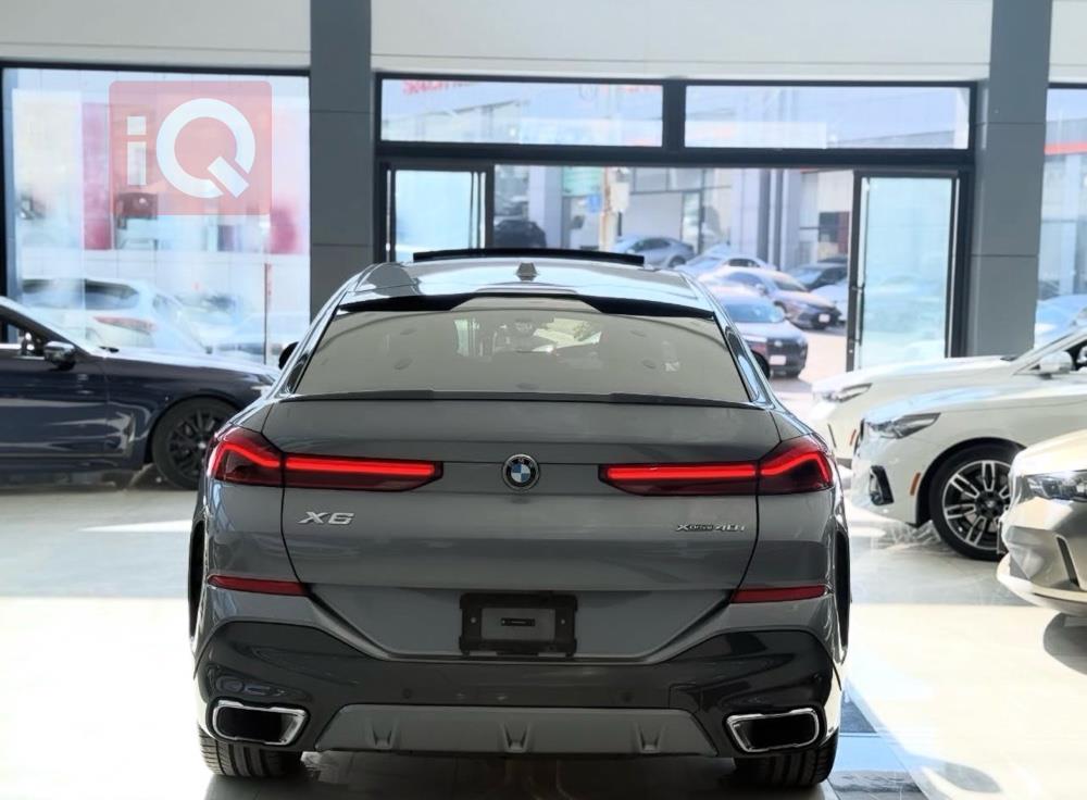 بی ئێم دەبڵیو X6